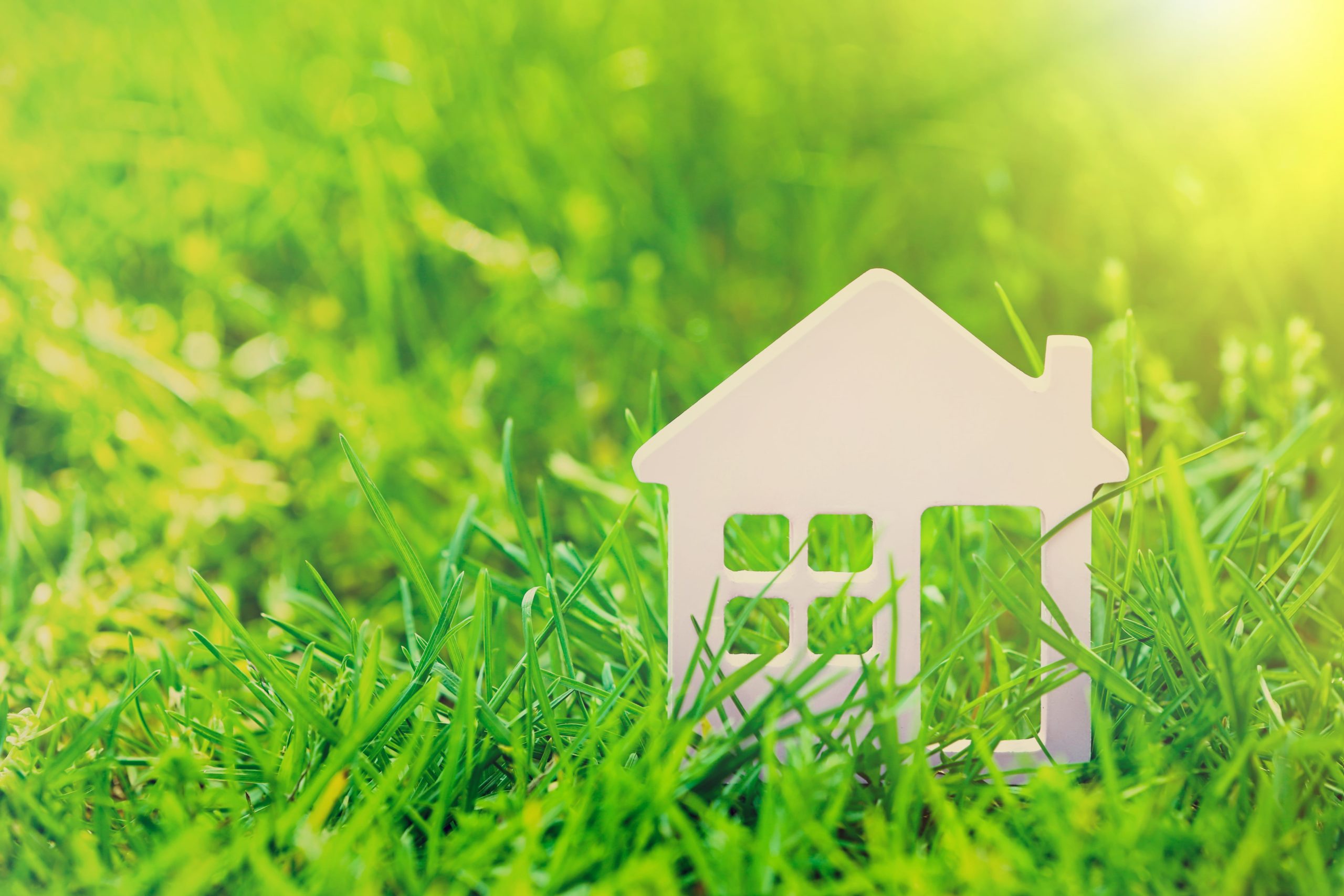5 Mistakes To Avoid While Buying A Plot