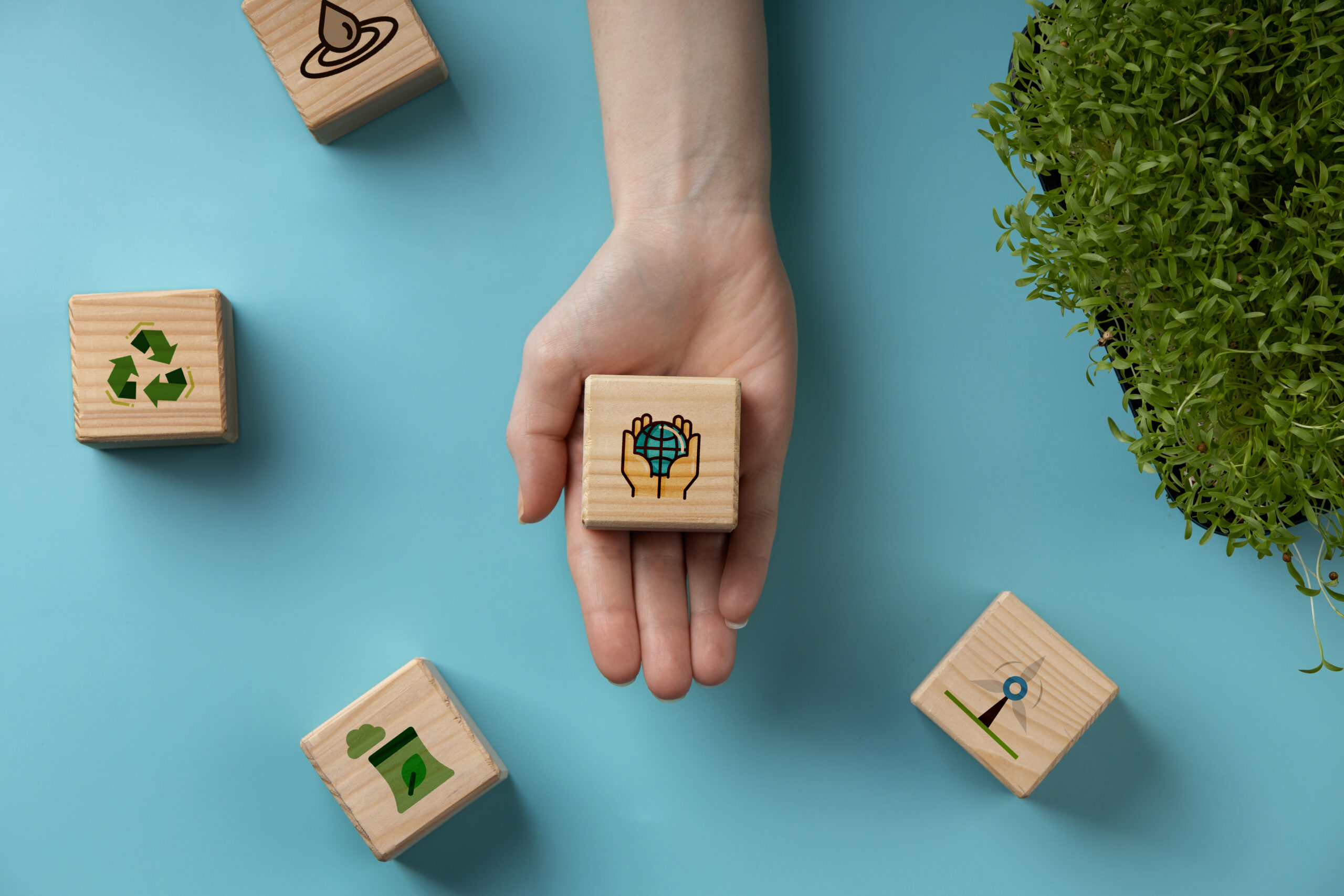 The Benefits of Living In A Sustainable Apartment Complex